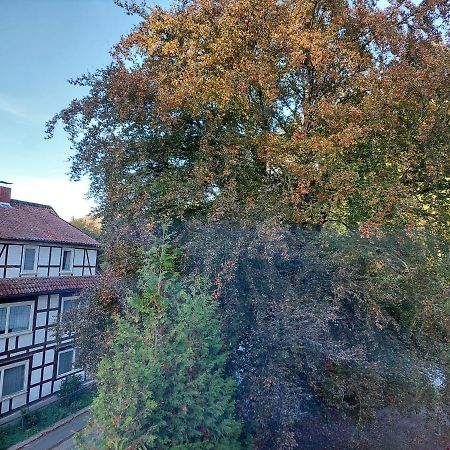 Gemuetliche Ferienwohnung Im Harz Бад-Грунд Экстерьер фото