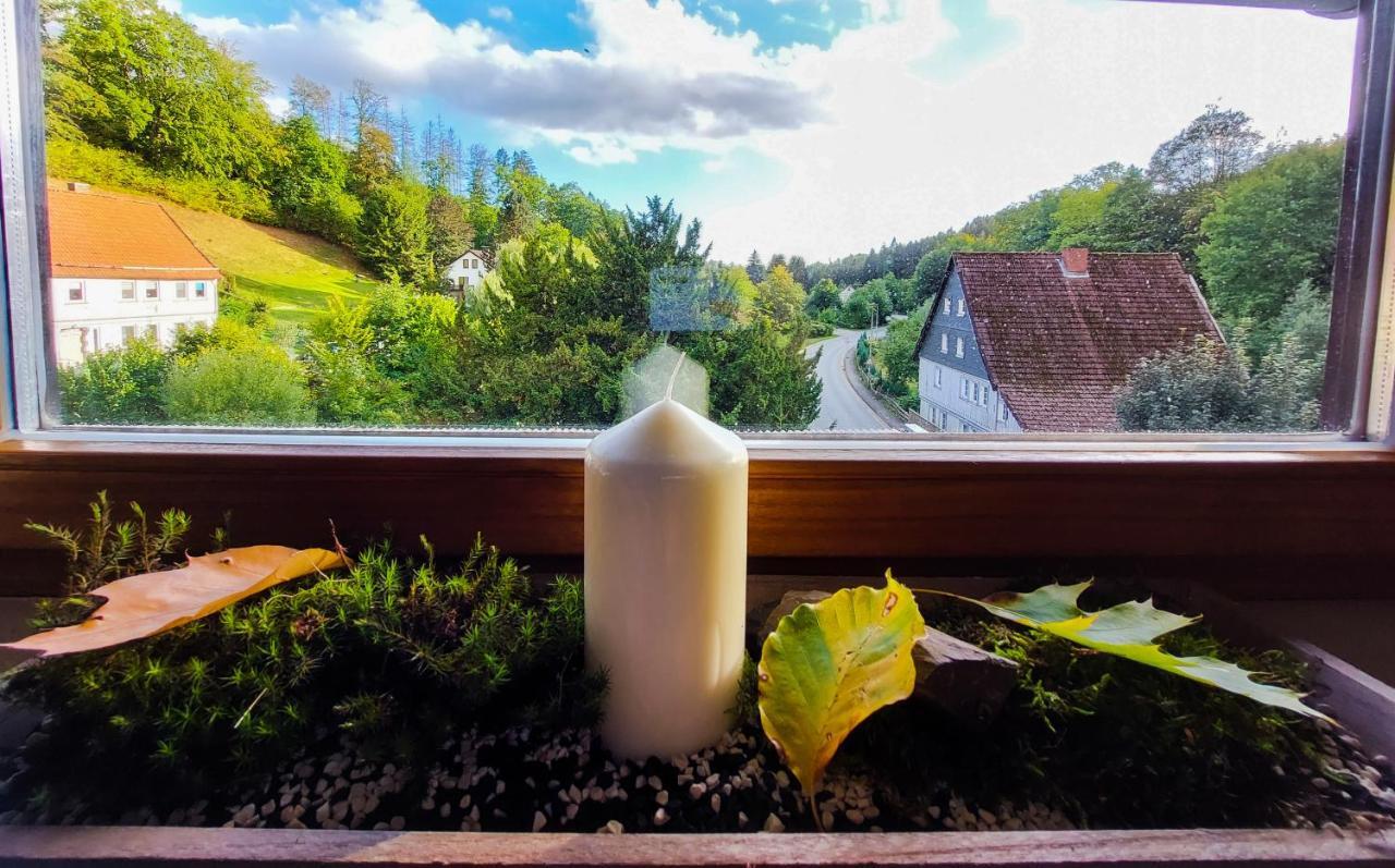 Gemuetliche Ferienwohnung Im Harz Бад-Грунд Экстерьер фото